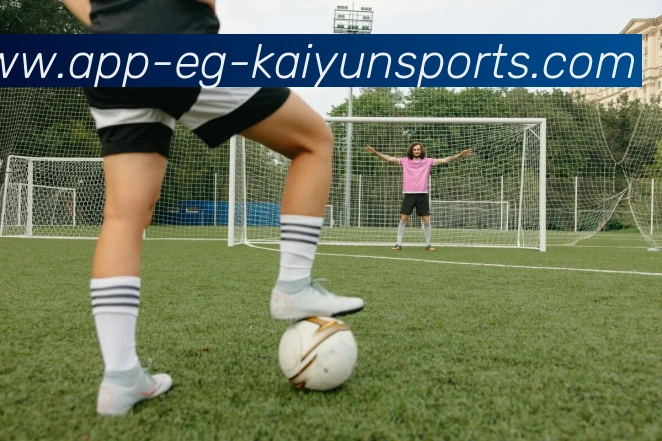 App Interface Preview