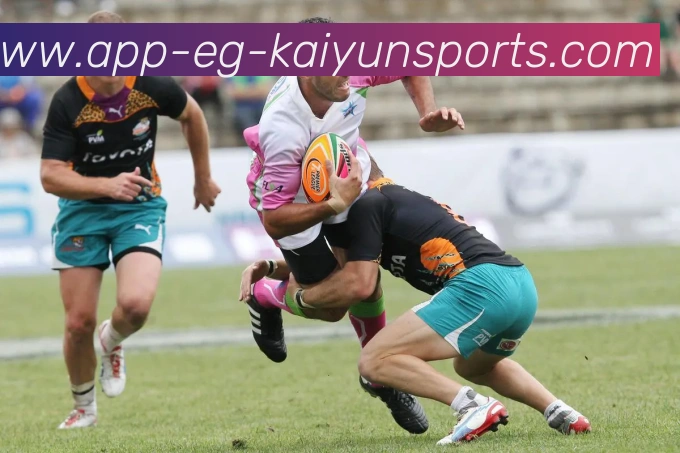 开云体育APP 封面图