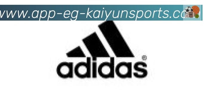 开云APP合作伙伴